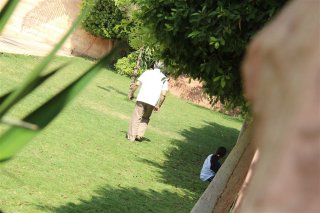 IMG_0446.jpg