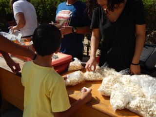 DSCN6203.JPG